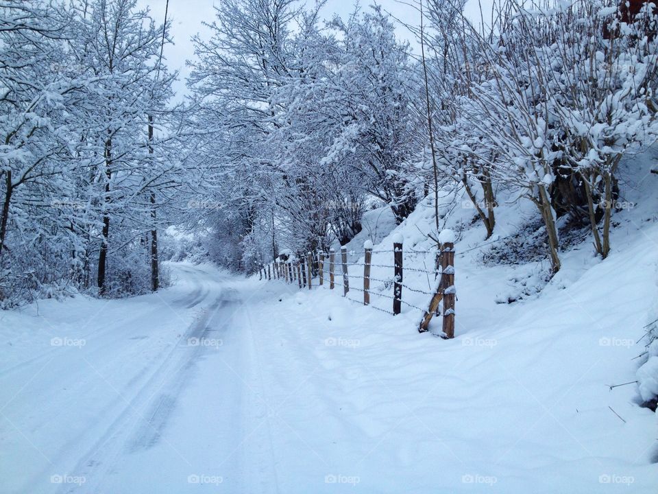 winter road