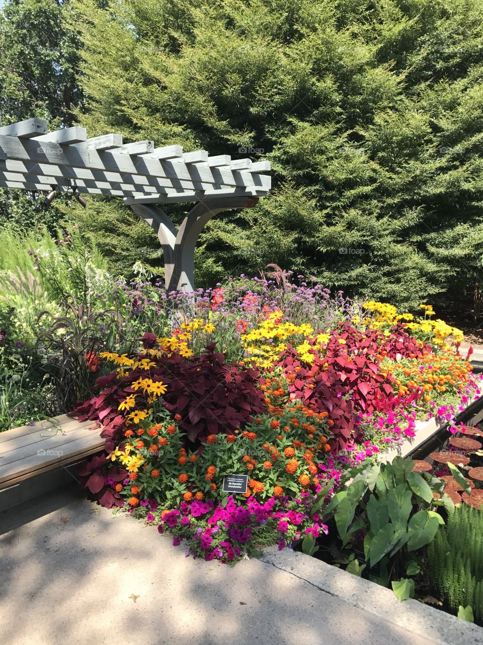 Botanical gardens, Denver, Colorado 