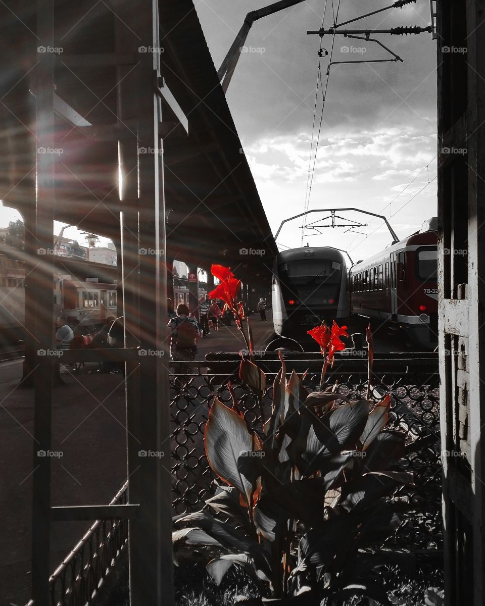 Main train station in Bucharest - Gara de Nord