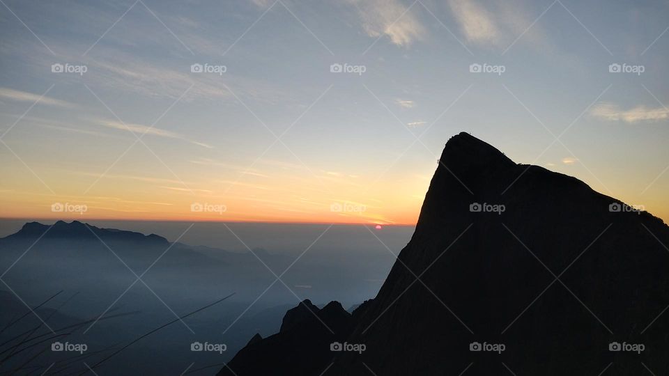 Nature does not hurry, yet everything is accomplished."