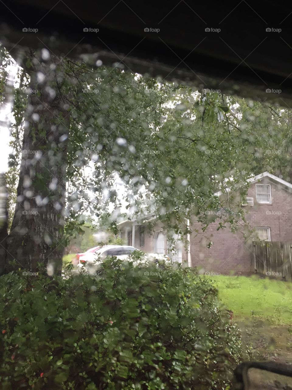 Rain reflections. Hurricane Irma, Sept. 2017