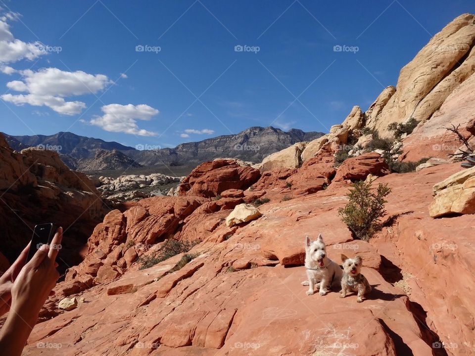 Red Rock Canyon Hike 