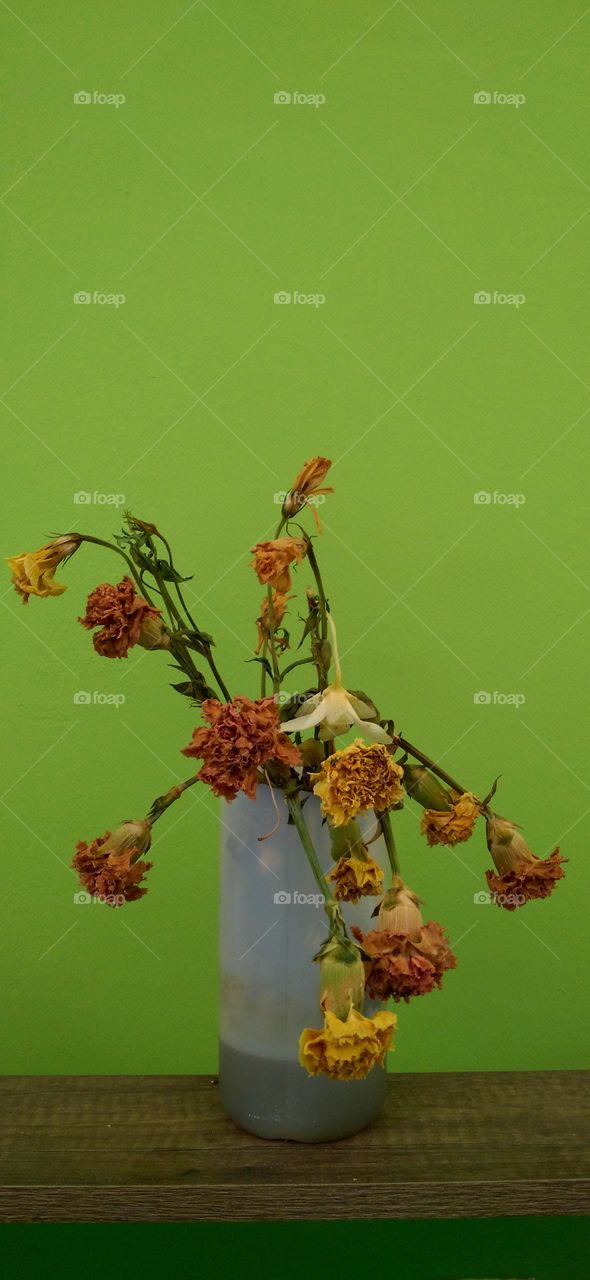 Flowers after they dry