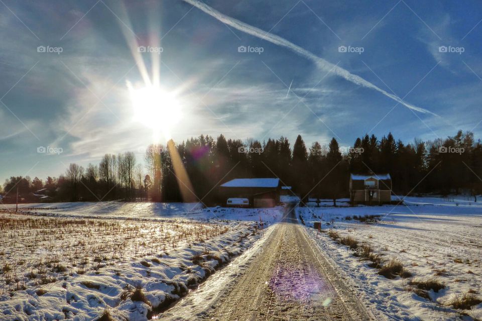 Amazing  sunrays a beautiful winterday