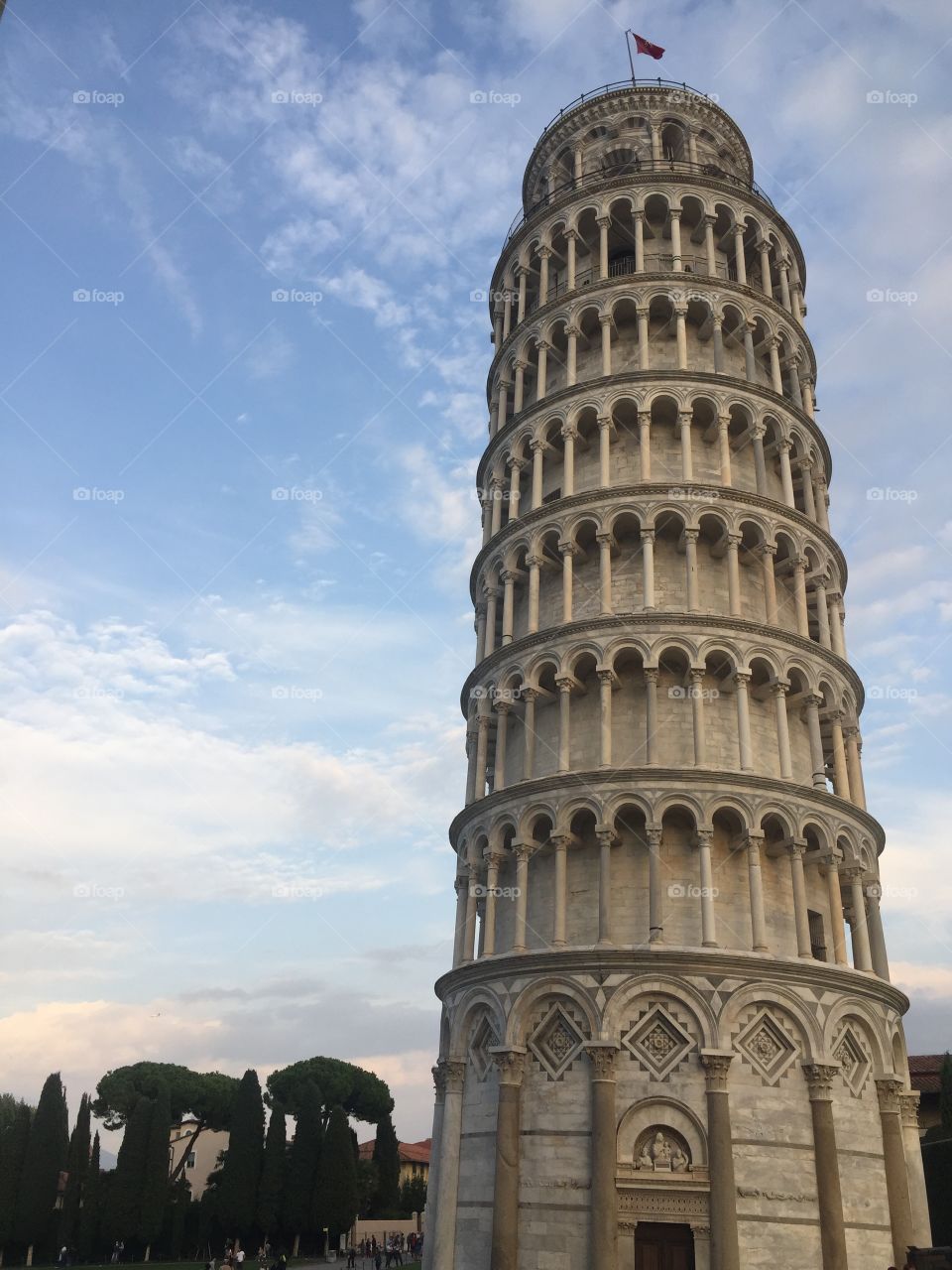 the tower of pisa 