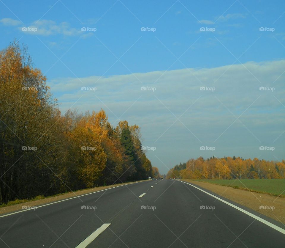 fall road