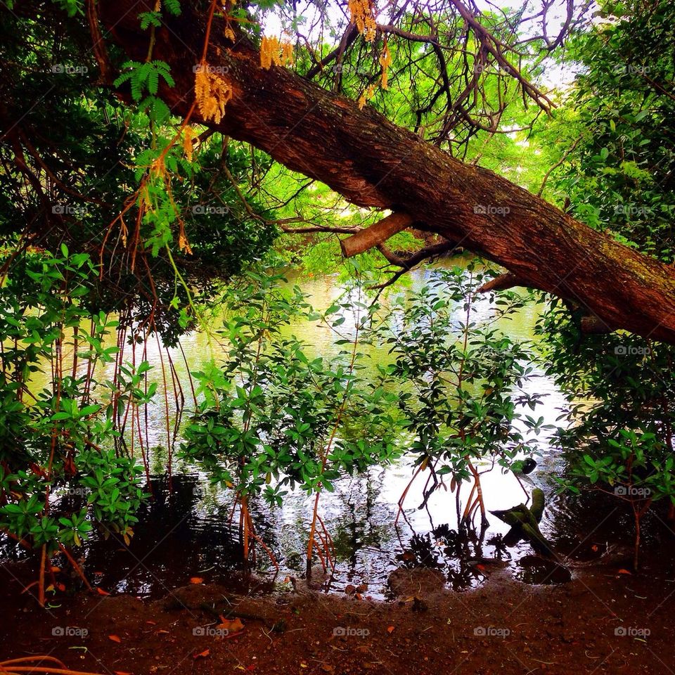 The Beautiful Scenery