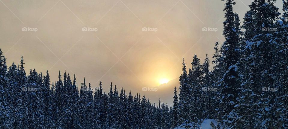 Sunset in the wintertime mist