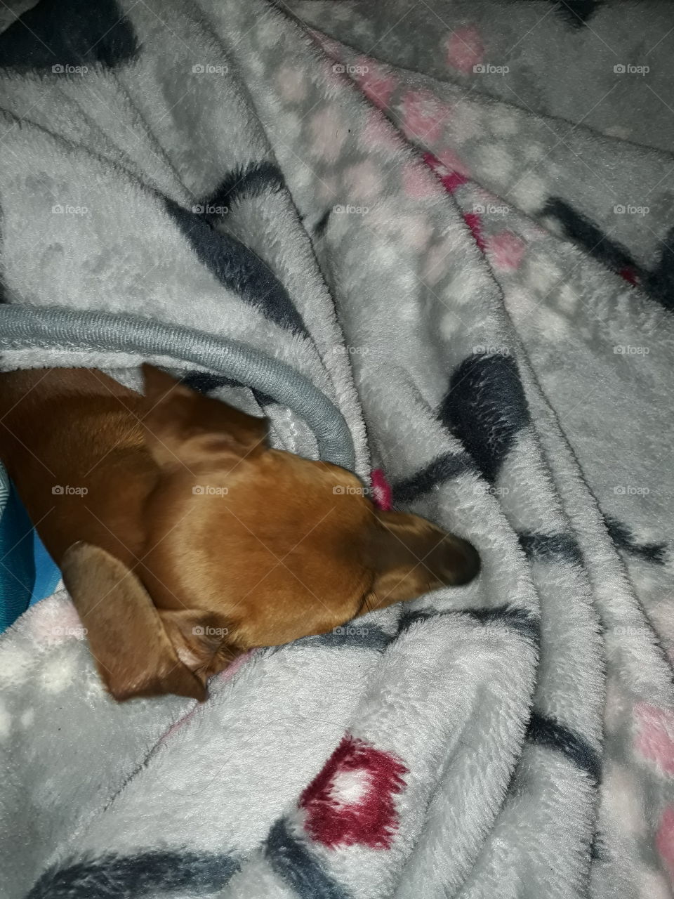 All snuggled up