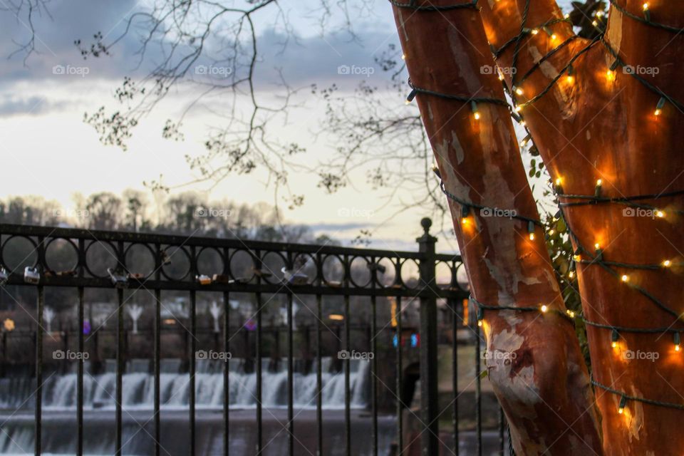 The day to day arena at the dam continues, but the joy of the holidays only comes around once year. Don’t let it pass you by; you don’t have to search hard to see it.