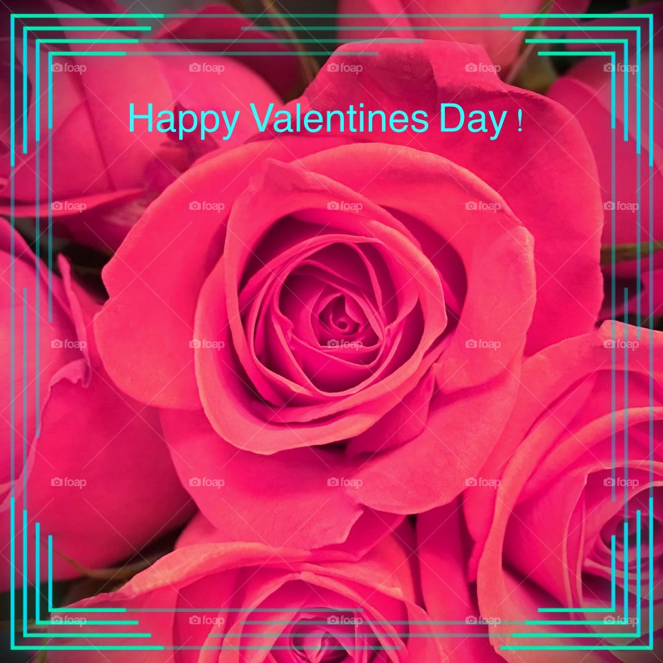 Happy Valentines Day greeting with roses for you.