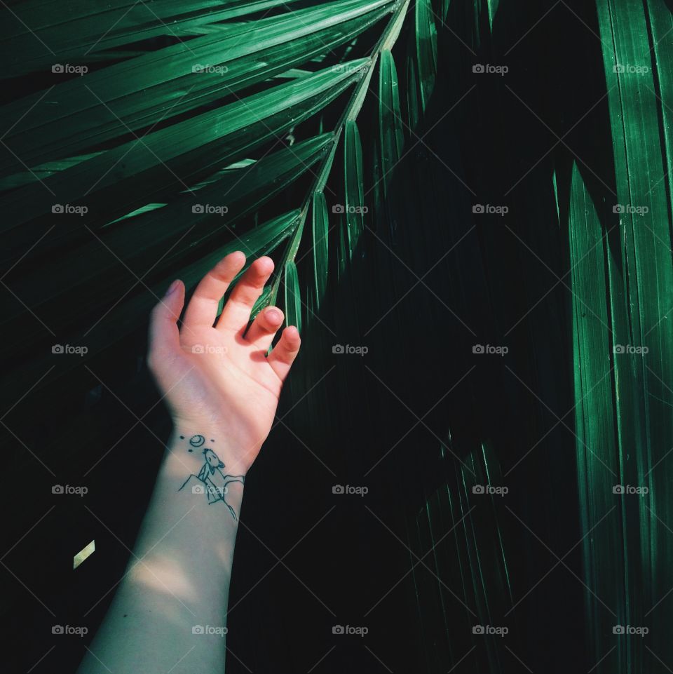 Hand with green beauty leaf