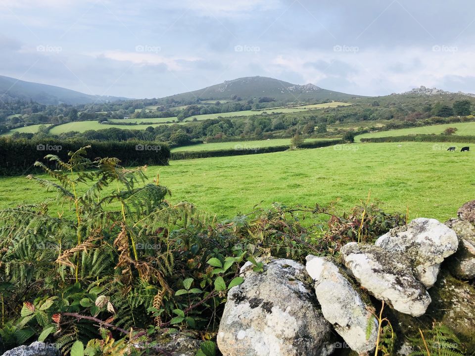 Dartmoor beauty is spell bounding. Come to Dartmoor National Park and you get Nature so natural and memorable.