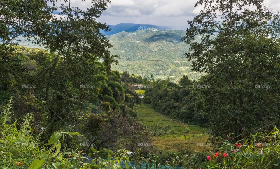 Countryside,  living close to nature