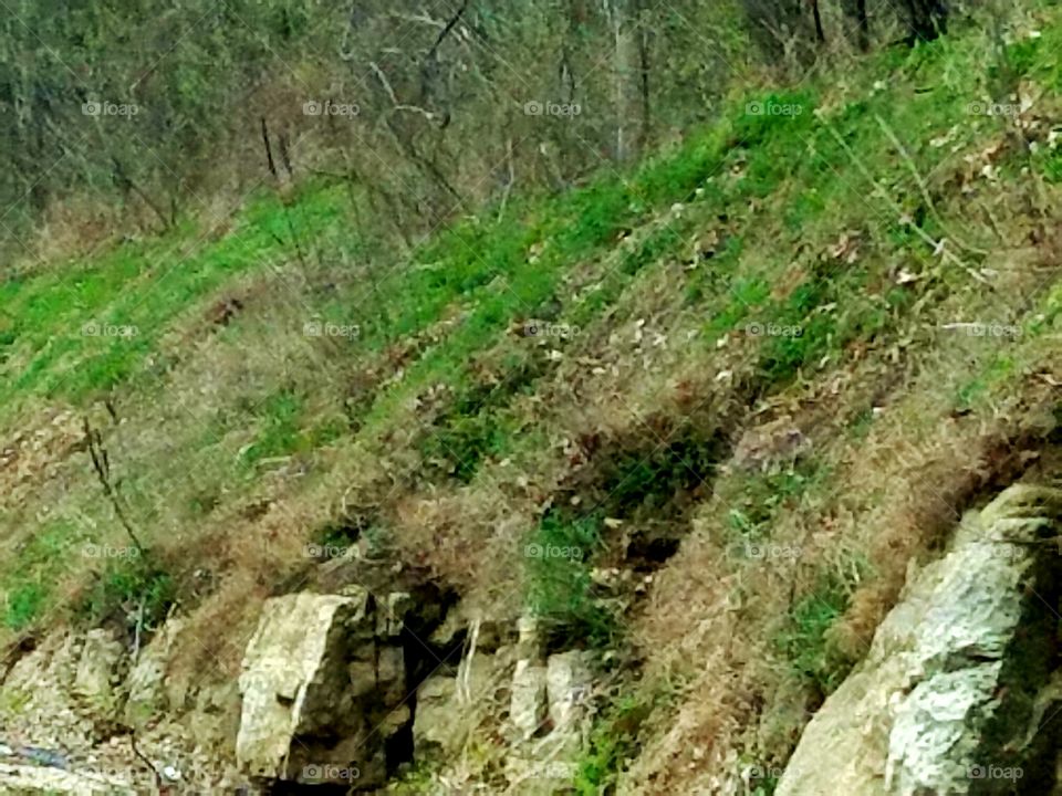 Driving the back Roads and enjoying everything around us