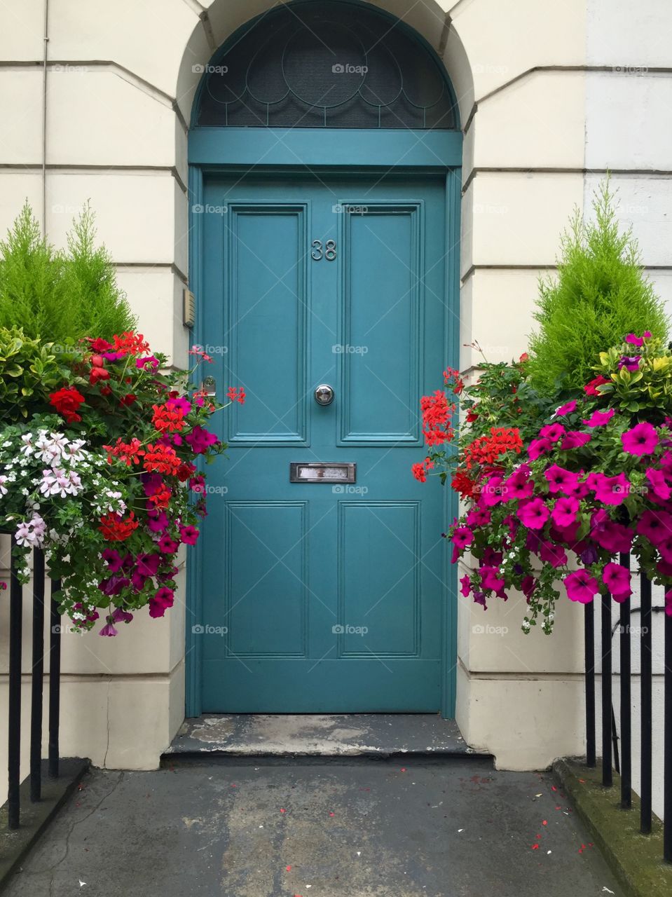 One of my favorite parts of London? The flowers that are constantly in bloom and decorating the city. 