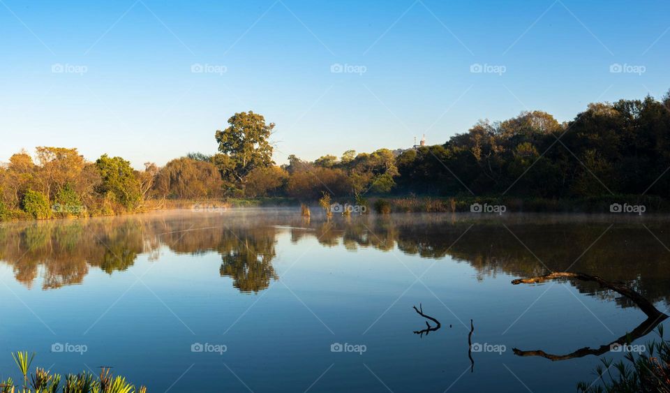 A panoramic image consisting of four images stitched together in post production to create this esthetically pleasing image to look at camputured with the morning light right during sunrise💯🔥