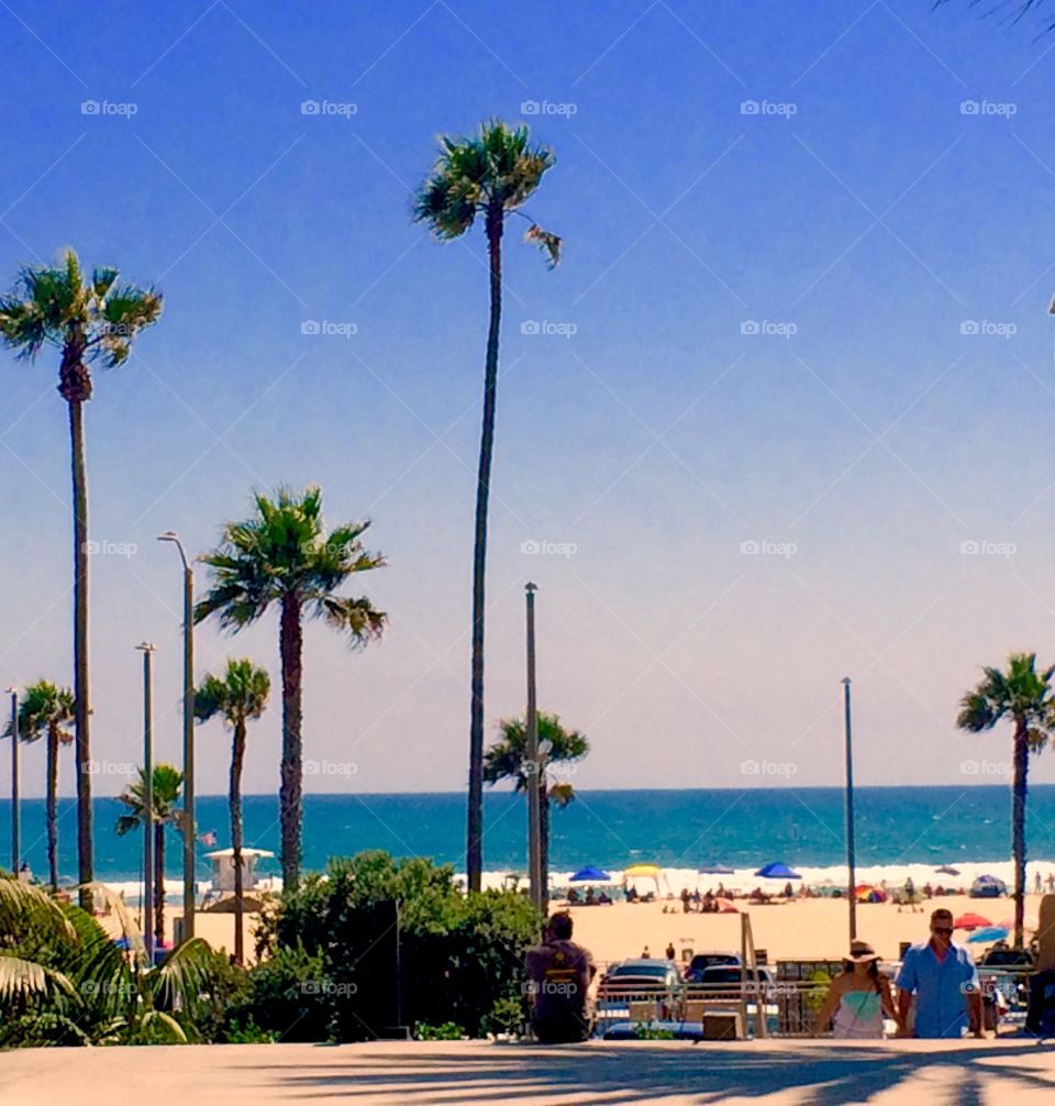 Beach scene observing 