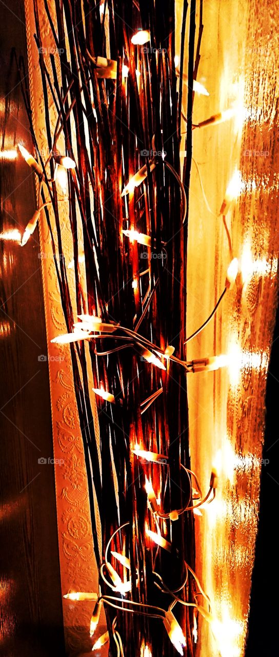 Twig lights at night