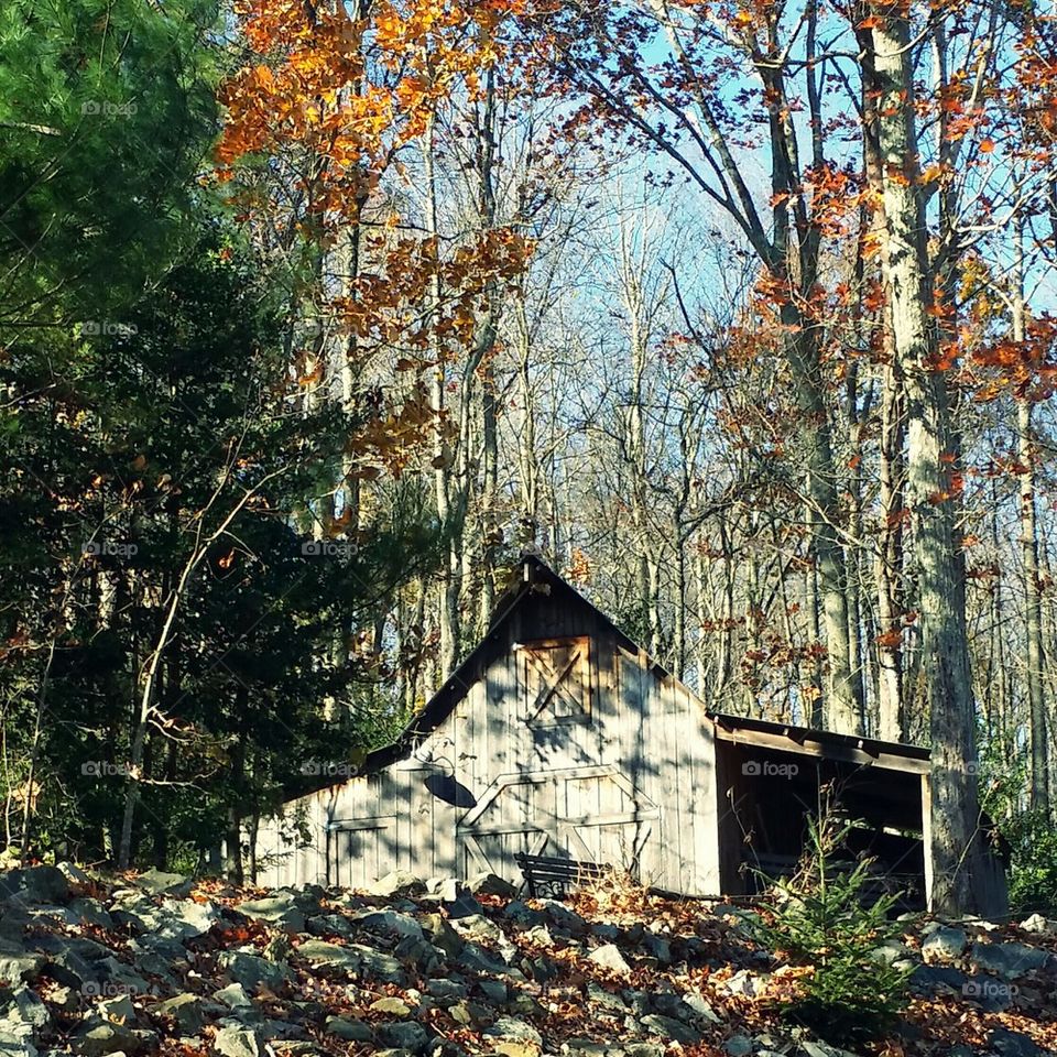 Old Barn in Autumn 