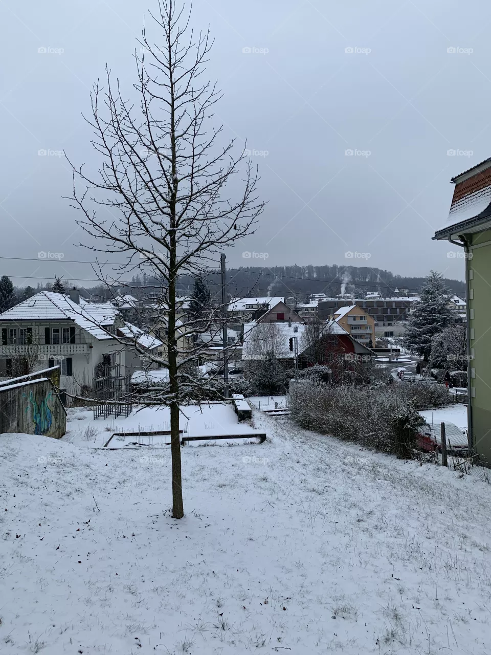 Swiss