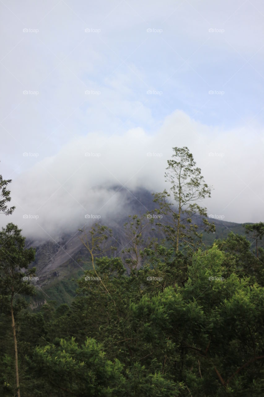 mountain berselimut awan