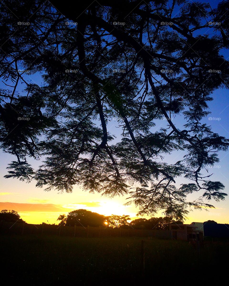 🌄#Entardecer que nos traz motivação!
Como não se inspirar com a beleza da #natureza?
📸 
#fotografia #sol #sun #sky #céu #nature #horizonte #paisagem #landscape #inspiração #mobgrafia #XôStress
#FotografiaÉNossoHobby