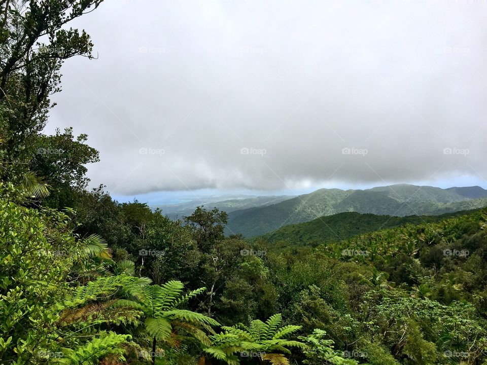 Puerto Rico 