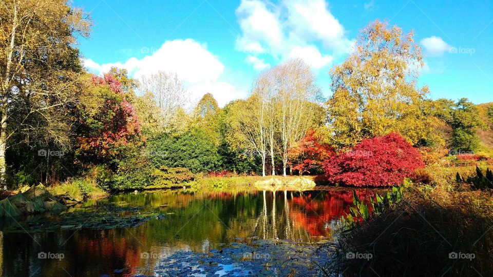 Autumn at rosemoor, North Devon