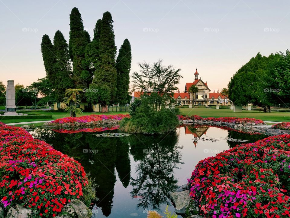 New Zealand reflections