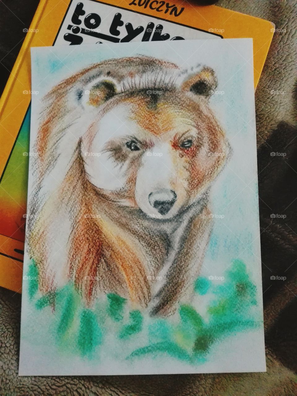 bear drawing with crayons on paper