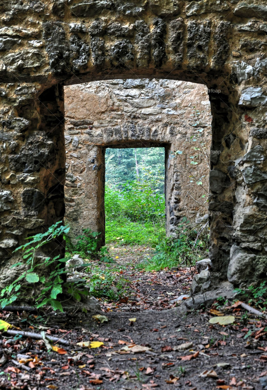 old castle arch view into the forest