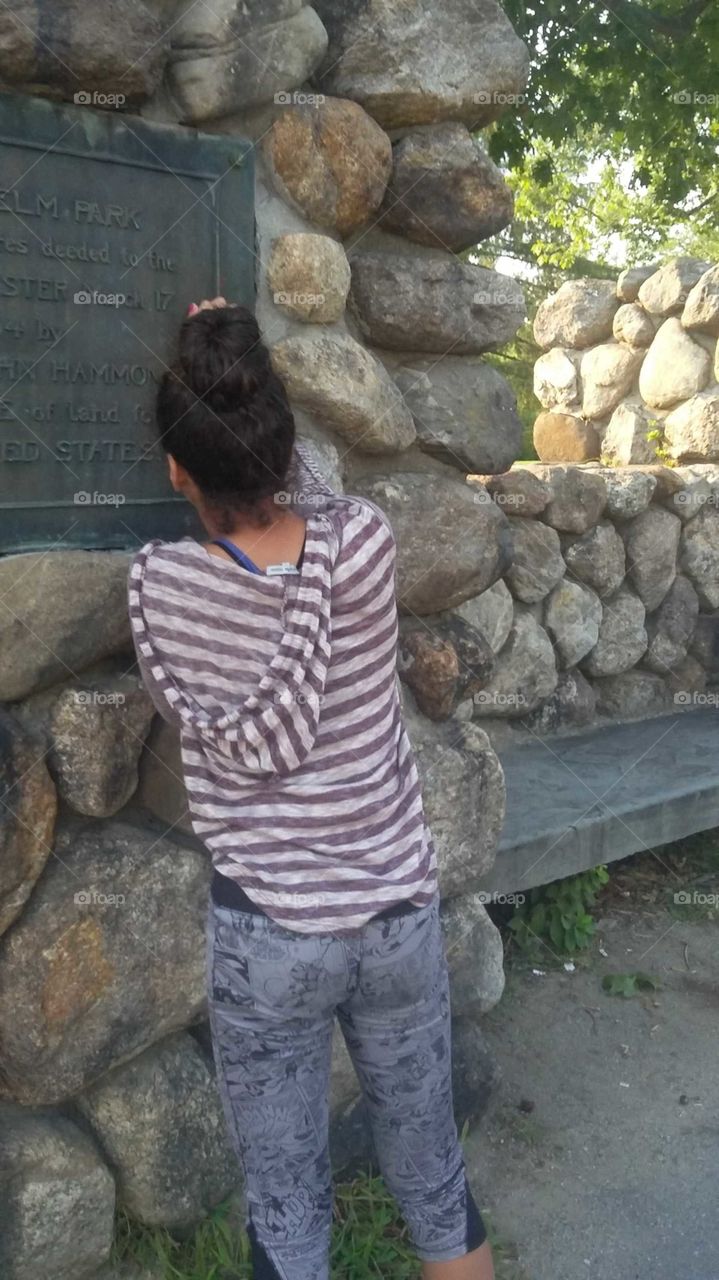 elm park worcester ma