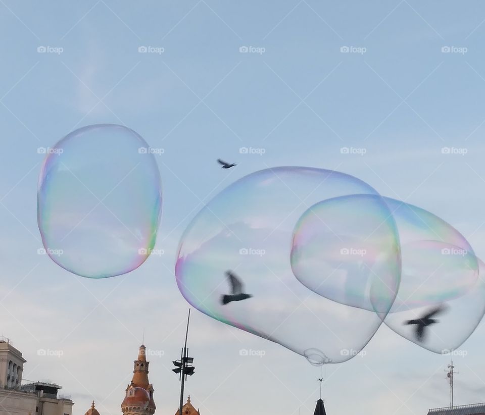 palomas en pompas de javon