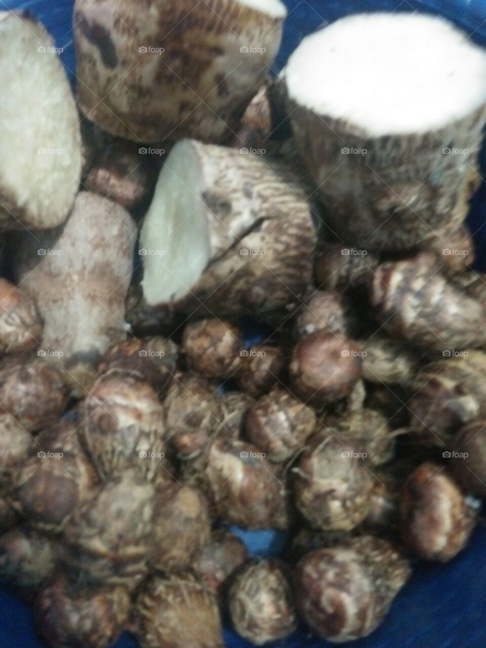 yummy... Bentoel : java traditional food