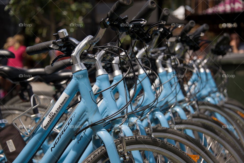 Blue bikes for rent