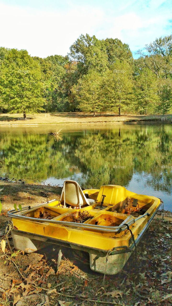yellow paddle boat on land beside tree line water