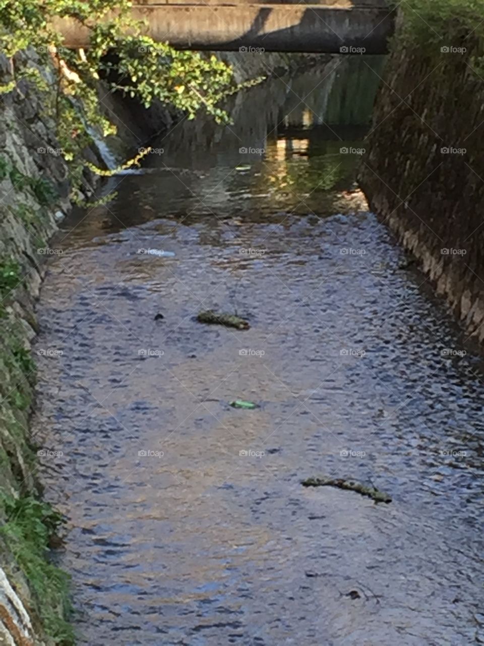 River flows in Spring