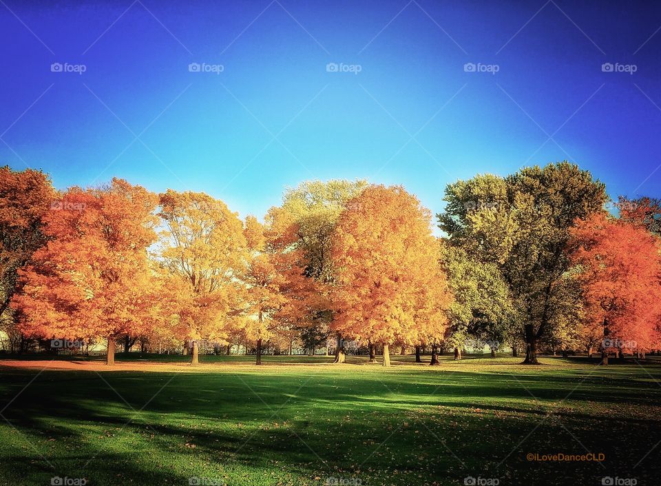 Chicago Series: View from the Bus Stop at 68th St. & South Shore Drive