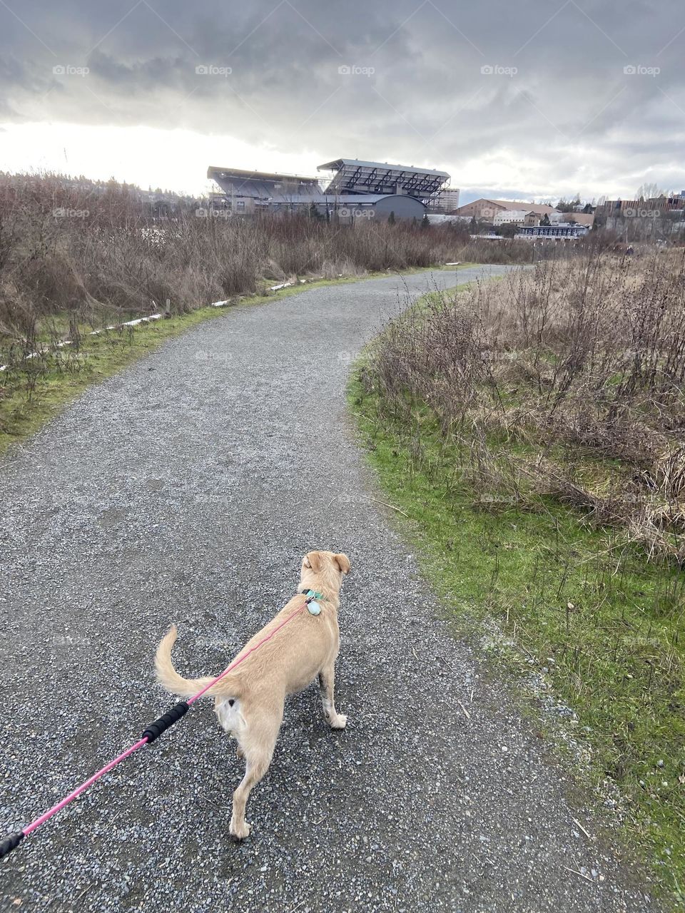 Waterfront by the University of Washington stadium