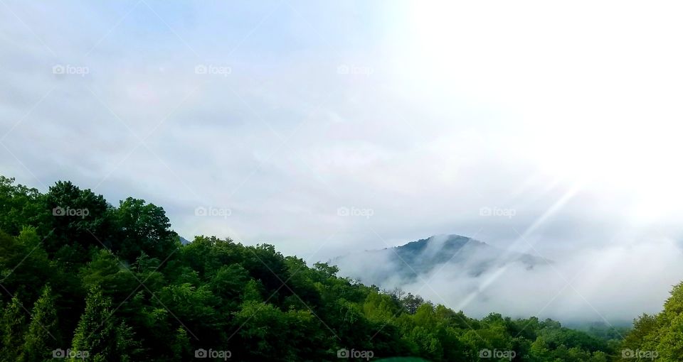 Billowing white clouds engulfing the peak of the mountain with background of clear blue sky and framed with summer green trees.