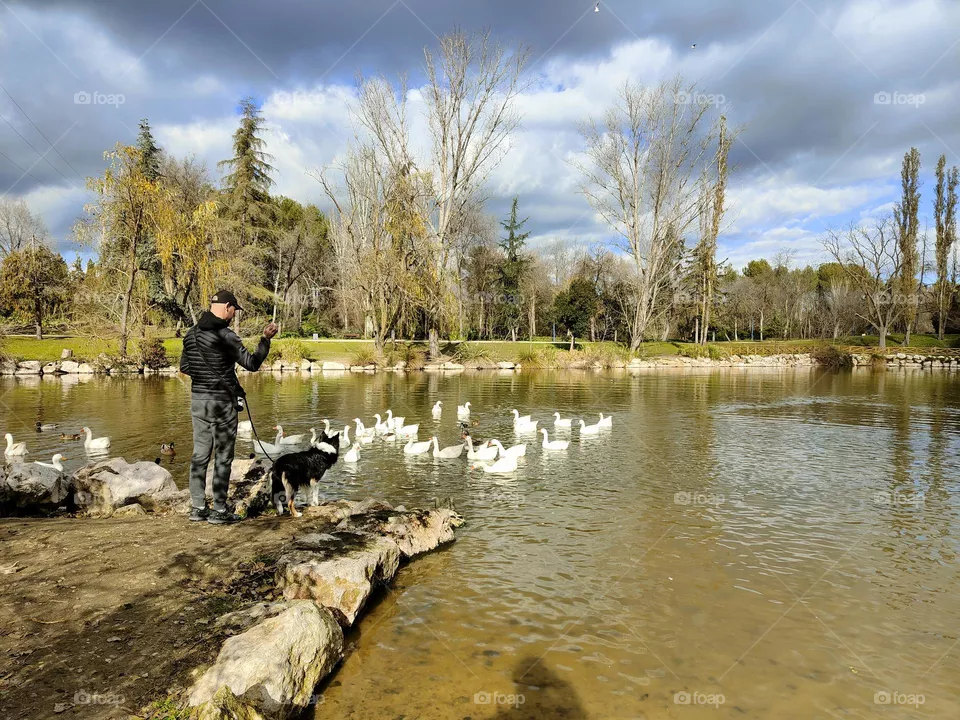 paseo