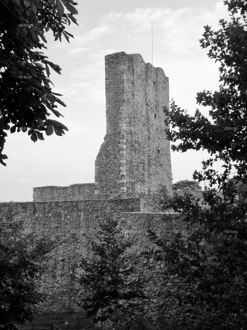 Severin fortress in black and white