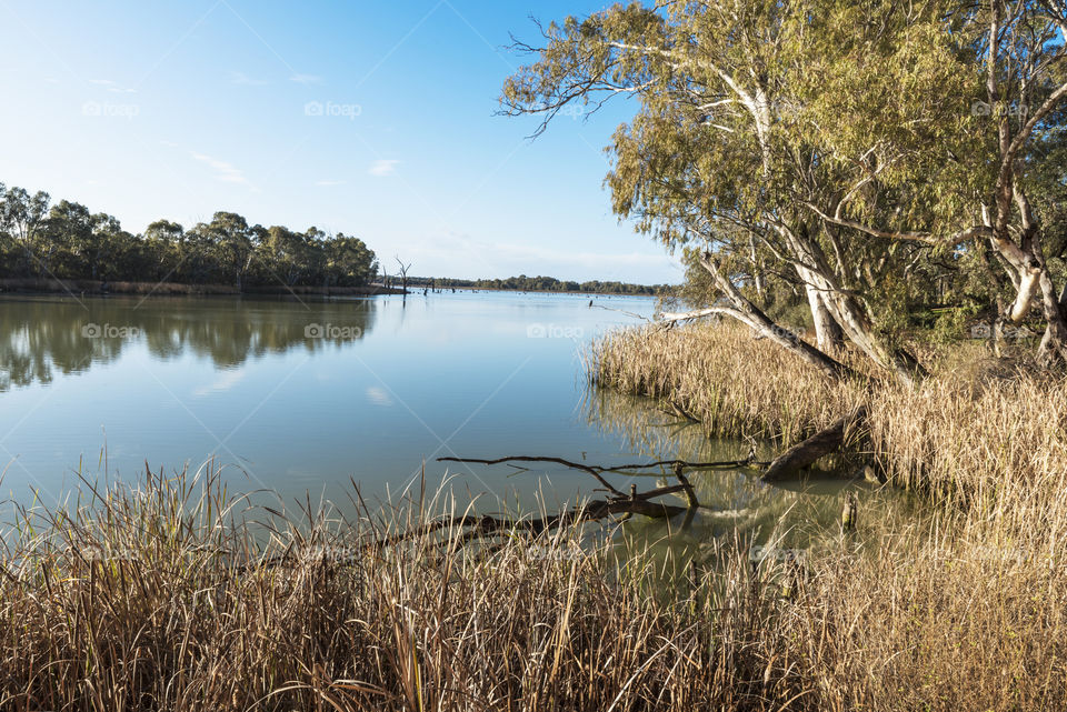 Peaceful waters of the Murray River, Australia.