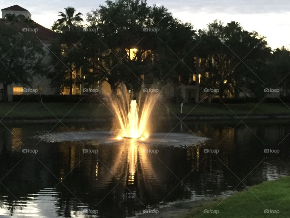 Pond Fountain at night