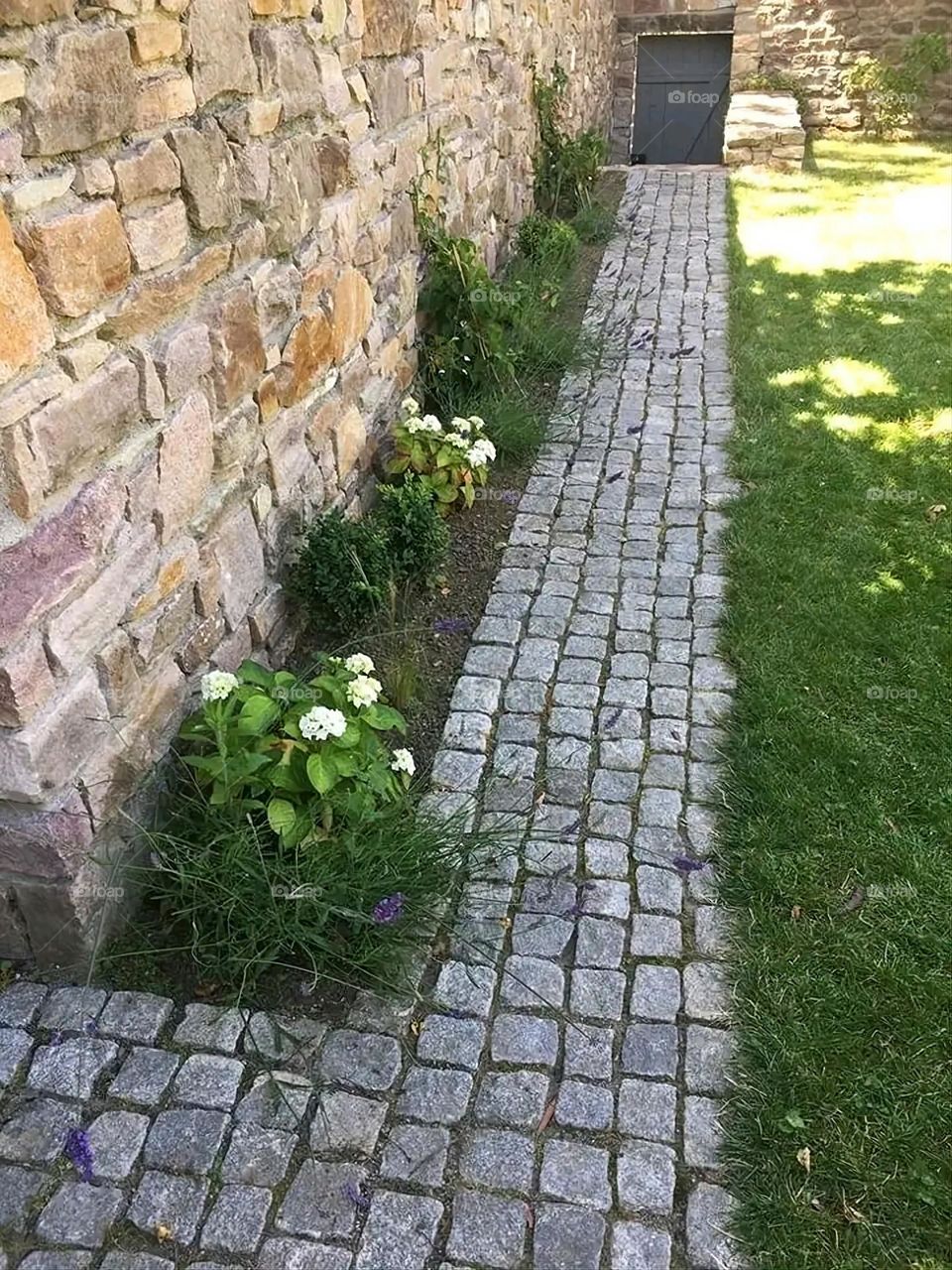 The image embodies a natural natural plate of the mountains of nature, where green agricultural stands are graded on the slopes as if they were lines of a poem, which fog harmoniously wrapped, and clouds hugged them in the mountain knife and the whis