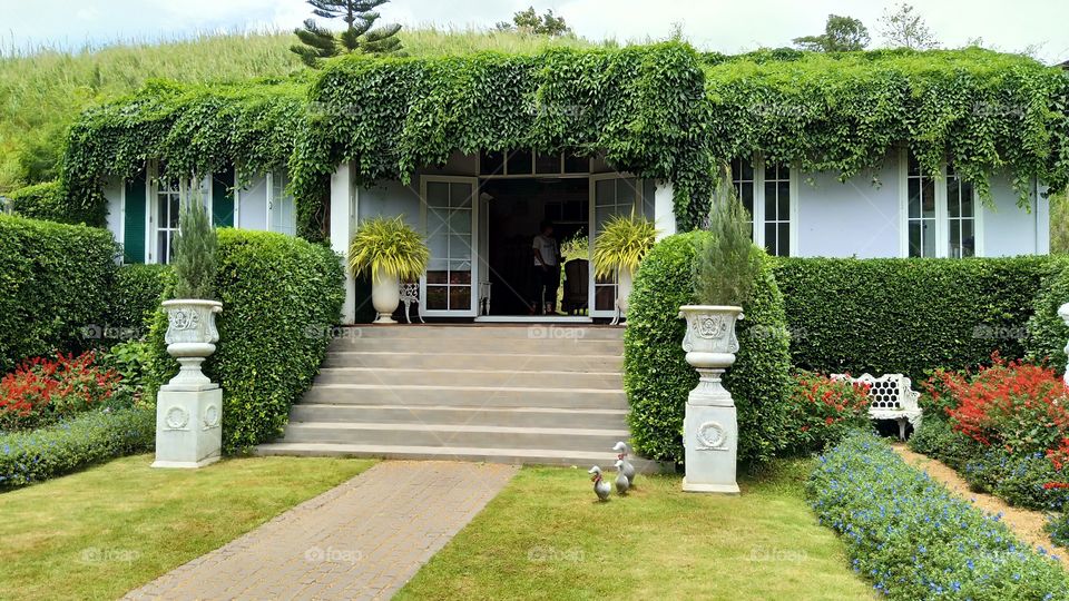 Garden, House, Architecture, Lawn, No Person