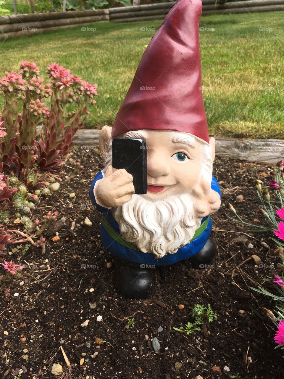 This iPhone thing is really catching on!