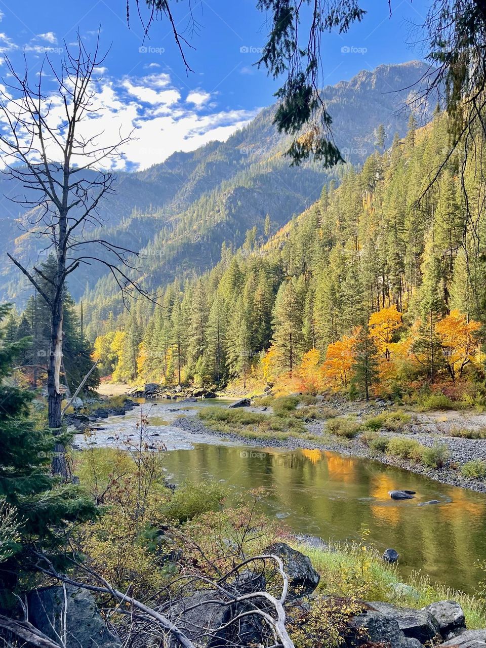 Mountains river autumn landscape 