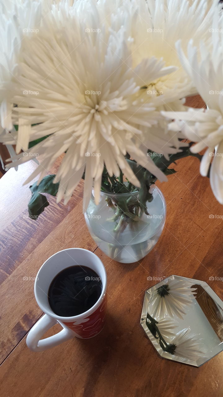No Person, Coffee, Tea, Cup, Flower